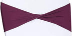 VDS Pack of 50 PCS | Eggplant | Spandex Chair Sashes Bows Without Buckle | Stretch Elastic Banquet Universal Folding Chair Band Tie with for Wedding Party Conference Celebration Event Decoration