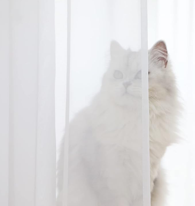 Window White Sheer Curtains 84 Inches Long 1 Panel Sheer White Curtains Basic Rod Pocket Panel for Bedroom Children Living Room Yard Kitchen (White, 52" W x 84" L | 1 pc)