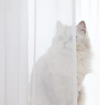Window White Sheer Curtains 63 Inches Long 2 Panels Sheer White Curtains Basic Rod Pocket Panel for Bedroom Children Living Room Yard Kitchen (White, 52" W x 63" L | 2 pcs)