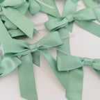 50pcs 2-1/2" Vanilla Green Satin Ribbon Bows with Twist Ties Celadon Satin Ribbon Bows for Candy Party Decoration Gift Packing Wrapping Accessories(2.5“,Vanilla)