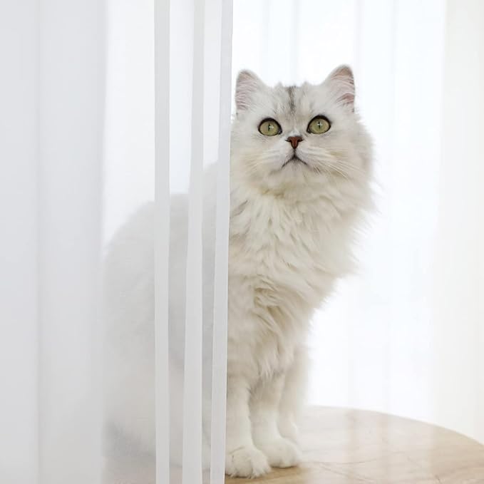 Window White Sheer Curtains 60 Inches Width 108 Inches Long 2 Panels Sheer Curtains Clear Curtains Basic Rod Pocket Panel for Home/Living Room/Bedroom/Kids Room