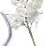 CHIVE ‘George’ Glass Bottle Flower Vases — Set of 6 — Small, Elegant Clear Glass Bud Vases — Bulk Pack for Home Decor & Table Centerpieces — Shape 4 (Oval, 4” Tall, 3” Wide)