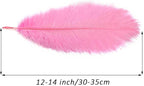 YAKRUNA 30PCS Light Pink Ostrich Feathers Bulk 12-14 Inches for Centerpieces for Wedding Birthday Gatsby Party, Decorative Plumes for Vase & Table & Christmas Tree Decor (30-35cm, Pink)