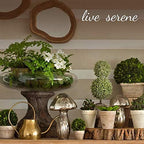 Serene Spaces Living Gold Ribbed Pedestal Glass Votive Holder, Table Centerpiece, Home, Office, Wedding, Birthday, Holiday & Special Events Decor, 3.5" Diameter & 5" Tall, Pack of 24
