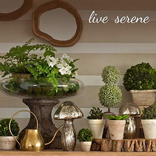 Serene Spaces Living 5in Smoke Ribbed Glass Votive Holder, Decorative Centerpiece for Wedding, Christmas, Thanksgiving, Dining Table, Living Room, Home Décor, 3.25" Diameter & 5" Tall, Pack of 24