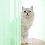 Window Light Green Sheer Curtains 84 Inches Long 2 Panels Sheer Curtain Basic Rod Pocket Panel for Bedroom Children Living Room Yard Kitchen (Light Green, 52" W x 84" L | 2 pcs)
