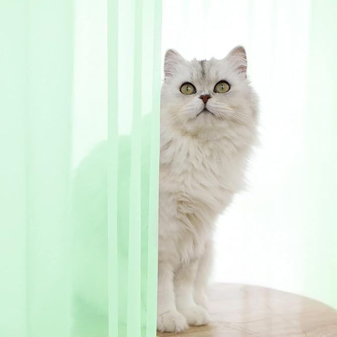 Window Light Green Sheer Curtains 84 Inches Long 2 Panels Sheer Curtain Basic Rod Pocket Panel for Bedroom Children Living Room Yard Kitchen (Light Green, 52" W x 84" L | 2 pcs)