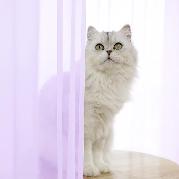 Window Purple Sheer Curtains 48 Inches Width 84 Inches Long 2 Panels Sheer Curtain Clear Curtains Basic Rod Pocket Panel for Home Living Room Bedroom Kids Room Yard Patio Parlor Sliding