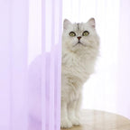 Window Purple Sheer Curtains 48 Inches Width 45 Inches Long 2 Panels Sheer Curtain Clear Curtains Basic Rod Pocket Panel for Home Living Room Bedroom Kids Room Yard Patio Parlor Sliding