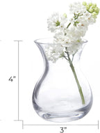 CHIVE ‘George’ Glass Bottle Flower Vases — Set of 6 — Small, Elegant Clear Glass Bud Vases — Bulk Pack for Home Decor & Table Centerpieces — Shape 4 (Oval, 4” Tall, 3” Wide)