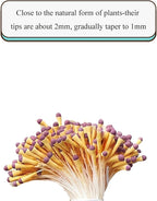 HAHIYO 700Pcs 2mm Yellow and Purple Matte Double Head Flower Stamen Pistil for Flower Making Scrapbook Decoration Handmade Artificial Flowers Pistil Matt-Like Floral Stamens Flowers Pollen Stamen