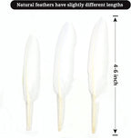 FeelfunFeather 120pcs White Goose Cochettes Feather Natural Bulk 4-6 inch 10-15cm for Wedding Party Christmas Halloween Decorations DIY Crafts