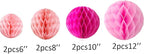 8pc Honeycomb Balls Party Decorations 6''8''10''12'' Tissue Paper Pom Poms Flower Balls Hanging Pink Paper Honeycomb Balls for Party Baby Shower Birthday Wedding Nursery Wall Decor Pink Set