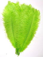 KOLIGHT 40pcs 12''~14''(30~35cm) Natural Ostrich Feathers for DIY Home Wedding Party Office Decoration (Lime)