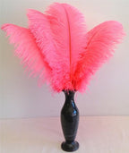 KOLIGHT 40pcs 12''~14''(30~35cm) Natural Ostrich Feathers for DIY Home Wedding Party Office Decoration (Hot pink)