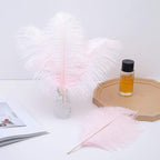 Ballinger Light Pink Ostrich Feathers - 24Pcs 12-14inch Large Feathers for Crafts,Party Centerpieces,Wedding and Home Decor