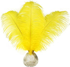 Happy Feather 16-18 inch Yellow Ostrich Feathers Craft for Wedding Party Centerpieces Home Decoration DIY Craft Pack of 10