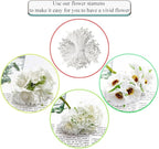 HAHIYO 700Pcs 3mm White Matte Double Head Flower Stamen Pistil for Flower Making Scrapbook Decoration - Handmade Artificial Flowers Pistil Matt-Like Floral Stamens Flowers Pollen Stamen