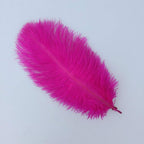 Sowder 8-10inch(20-25cm) Ostrich Feathers Plume for Wedding Centerpieces Home Decoration Pack of 10pcs(Fuchsia)