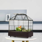Large Tall Plant Terrarium Glass Greenhouse with Lid and Tray, Indoor Tabletop Orchid Succulent Cacti Kit 9.5'X9.8'X5.6'