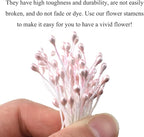 HAHIYO 700Pcs 3mm Light Pink Pearl Double Head Flower Stamen Pistil Hand-Made Artificial Flower Pistil para Flore Pearlized Floral Stamen Flower Pollen Stamen for Flower Making Scrapbook Decoration