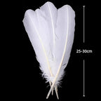 White Turkey Feathers,22 Pcs Natural Feathers Bulk Long 10-12 inch (25-30cm),Turkish Feather for Crafts DIY Wedding Home Party Mardi Gras Decorations (White)
