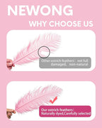 NEWONG 30pcs Light Pink Ostrich Feathers Natural Bulk 9-12inch(23-30cm) Vase Craft Wedding Home Party Centerpieces Christmas Day coquettish Valentine's Day Decoration