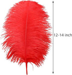 Ballinger Red Ostrich Feathers Bulk - 24Pcs 12-14inch Large Ostrich Feathers for Vase,Party Centerpieces,Wedding and Home Decor