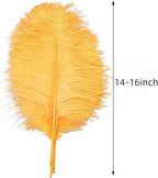 Ballinger Gold Large Ostrich Feathers - 12Pcs 14-16inch Large Feathers for Vase,Wedding Party Centerpieces and Christmas Home Decor