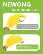 NEWONG 30pcs Yellow Ostrich Feathers Natural Bulk 11-14inch(28-35cm) Vase Craft Wedding Home Party Centerpieces Christmas Day Decoration