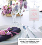 Paisley Wedding Table Numbers (Select Color/Quantity), Champagne, Pink, 1-20, Double Sided, Tent or Use in a Stand, Great for Parties & Restaurants - Made in the USA