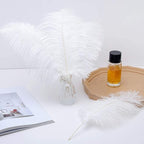 24pcs Natural White Ostrich Feathers 10-12inch (25-30cm) for Wedding Party Centerpieces，Flower Arrangement and Home Decoration.