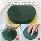 6 Pcs Round Floral Foam Blocks Each (3” X 1.5”) Green Wet & Dry Flower Foam for Fresh & Artificial Flower Arrangements, DIY Crafts, Arts, Weddings, Birthdays and Garden Decorations (Size: 3 Inch)