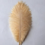 Sowder 10-12inch(25-30cm) Ostrich Feathers Plume for Wedding Centerpieces Home Decoration Pack of 10pcs(Champagne)