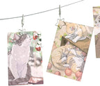 TFu Wall Hanging Photo Display, DIY Picture Photo Frame String with 12 Clips for Hanging Photos Notes and Artworks (Moon & Star)