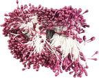 HAHIYO 700Pcs 3mm Dark Purple Pearl Double Head Flower Stamen Pistil - Handmade Artificial Pearlized Floral Pollen for Flower Making, Scrapbook Decoration