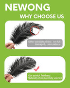 NEWONG 30pcs Black Ostrich Feathers Natural Bulk 11-14inch(28-35cm) Vase Craft Wedding Home Party Centerpieces Christmas Day Decoration