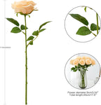 Artificial Rose 10pcs Open Flower Bouquet Faux Rose Stems for Wedding Arrangement, Bridal Bouquet, Centerpiece, Fake Faux Silk Flowers (Champagne)