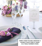 Paisley Wedding Table Numbers (Select Color/Quantity), Champagne, Silver, 1-75, Double Sided, Tent or Use in a Stand, Great for Parties & Restaurants - Made in the USA