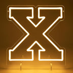 Light Up Letters X, Led Marquee Letter Lights Neon Sign, 13.9" Height Decorative Lighted Alphabet Number, Battery/USB Powered Led Letters Lights for Wedding, Birthday, Party, Christmas or Home Decor