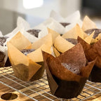 150-Pack Nordic Paper White Tulip Muffin Liners - Odorless, Non-toxic, Grease-Resistant, White Cupcake Baking Cups for Standard Size Muffin Pans for Birthdays, Weddings, Easter