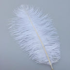 Sowder 8-10inch(20-25cm) Ostrich Feathers Plume for Wedding Centerpieces Home Decoration Pack of 10pcs(White)
