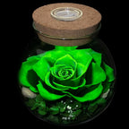 Preserved Real Roses with Colorful Mood Light Wishing Bottle,Eternal Rose，Never Withered Flowers,for Bedroom Party Table Decor, Christmas Decorations,a Gifts for Women 4.3inch1pcs (Green)