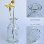 3 Sets Clear Glass Vase for Flowers Small Bud Vase for Decor, Bud Vases in Bulk for Centerpieces, Home Decorative Vase Set Round Vintage Glass Bottles, 2.85"X 5.4"