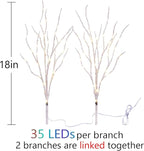 Birchlitland Lighted Birch Branches Battery Operated 18IN 70 LED 8 Function, White or Multiple Colors, Artificial Decorative Branch Lights for Home and Holiday Decoration Indoor Outdoor