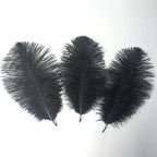 Sowder 8-10inch(20-25cm) Ostrich Feathers Plume for Wedding Centerpieces Home Decoration Pack of 10pcs(Black)