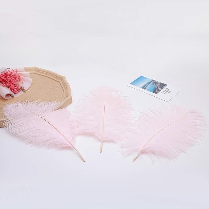 Ballinger Light Pink Ostrich Feathers - 24Pcs 12-14inch Large Feathers for Crafts,Party Centerpieces,Wedding and Home Decor