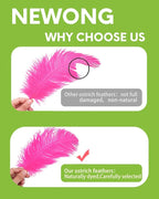 NEWONG 30pcs Hot Pink Ostrich Feathers Natural Bulk 9-12inch(23-30cm) Vase Craft Wedding Home Party Centerpieces Christmas Day Decoration