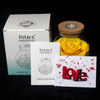 Preserved Real Roses with Colorful Mood Light Wishing Bottle,Eternal Rose，Never Withered Flowers, a Gifts for Women 4.3inch 1pcs (Yellow)
