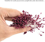 HAHIYO 700Pcs 3mm Dark Purple Pearl Double Head Flower Stamen Pistil - Handmade Artificial Pearlized Floral Pollen for Flower Making, Scrapbook Decoration